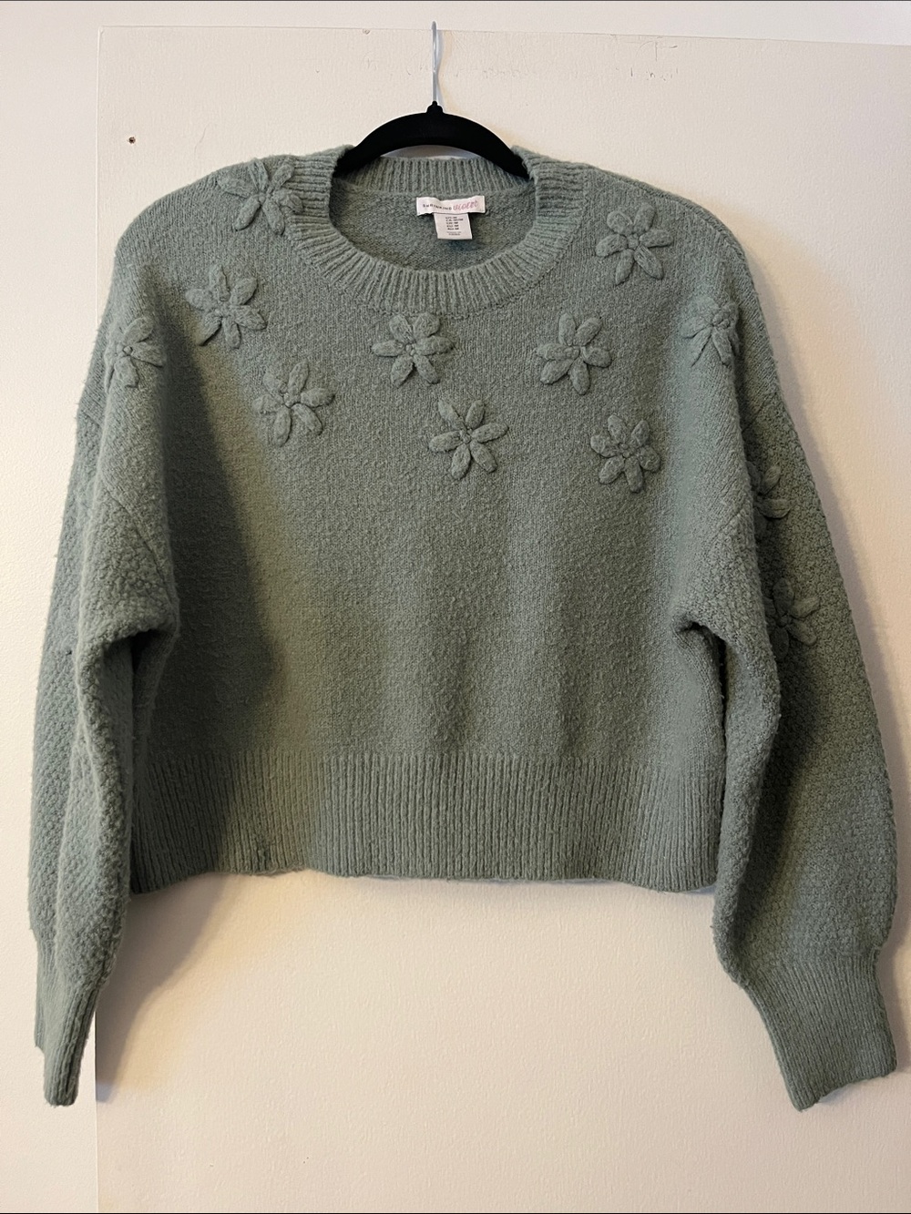 Shrinking Violet Sage Green Floral Appliqué Crewneck Sweater